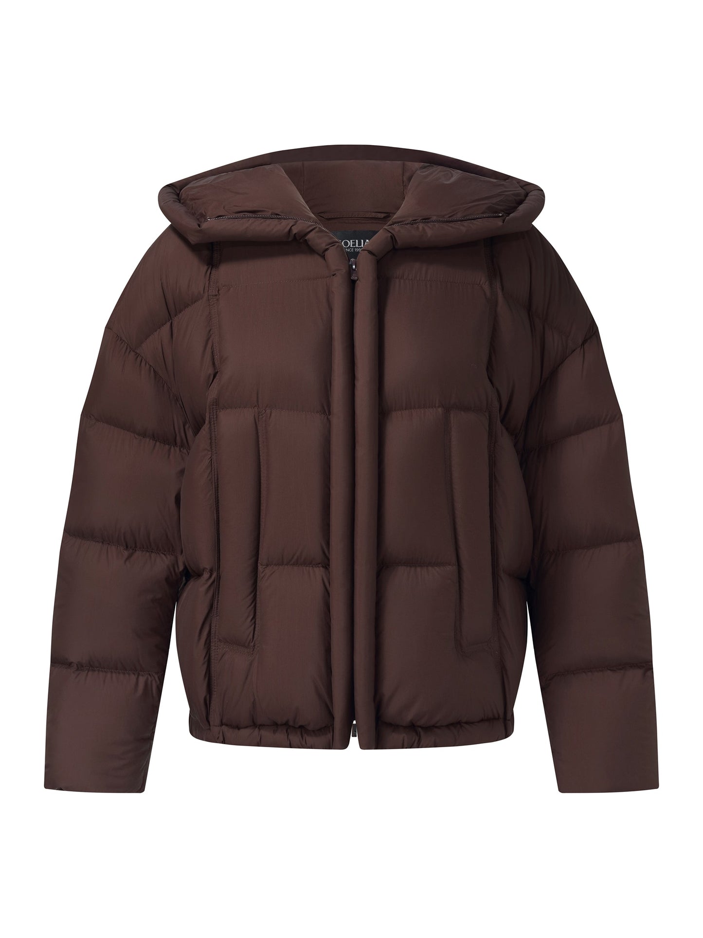Lightweight Water-repellent Hooded Goose Down Jacket