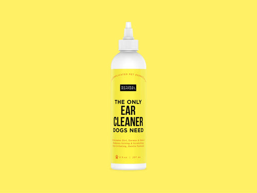 The Only Ear Cleaner Dogs Need