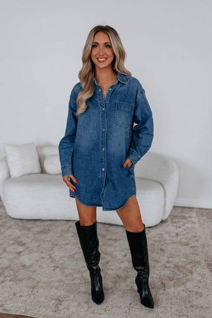 Reid Mica Denim Shirt Dress