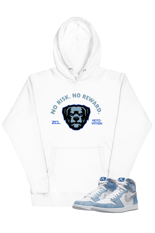 Air Jordan 1 High OG "No Risk No Reward" Hoodie (Hyper Royal)