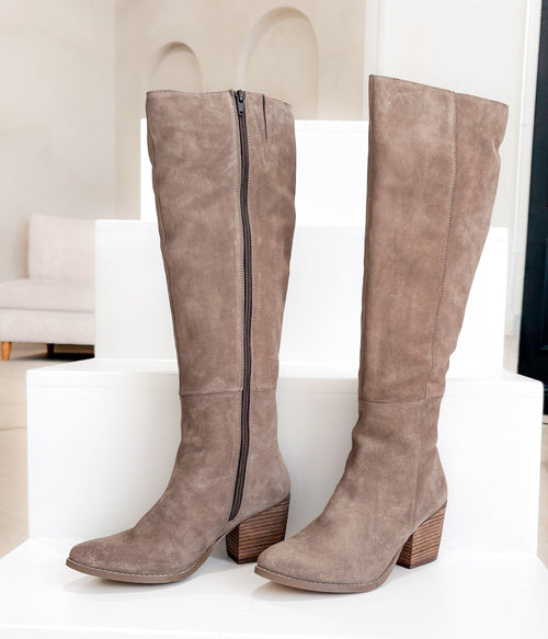 Tarian Tall Suede Boot in Taupe